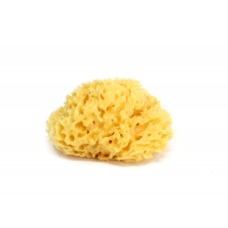 ESPONJA DE BAÑO HONEYCOMB